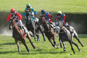 Vier Pferde und ihre Jockeys biegen an den internationalen Pferderennen Maienfeld/Bad Ragaz 2023 um eine Kurve