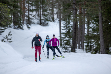 Langlaufen in Zernez