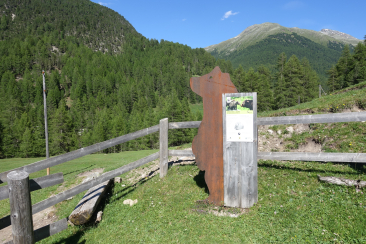Bärenpfad im Val Müstair (© Angelika Abderhalden)