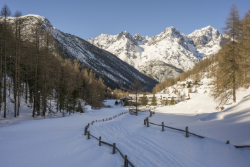 UNESCO Biosfera Engiadina Val Müstair im Winter (©Flurin Bertschinger)