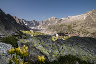 Die Capanna da l'Albigna CAS, eine Berghütte, liegt eingebettet in einem beeindruckenden Felsmassiv, mit dem Albignagletscher majestätisch im Hintergrund