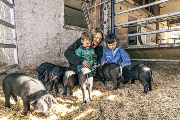 Zwei Kinder beobachten kleine schwarze Ferkel im Stall