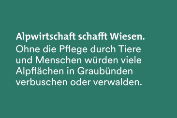 Fun Fact Fairtrail: Ohne die Alpwirtschaft würde die Fläche verbuschen oder verwalden.