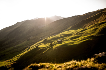 Abendlicht auf den grünen Hängen von Partnun mit verstreuten Maiensässen im Prättigau