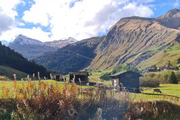Idyllische Berglandschaft mit Holzhütten auf einer Wiese, im Hintergrund steile, von Sonne beschienene Berghänge unter blauem Himmel mit Wolken.