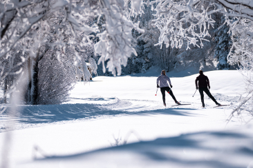 Zwei Langlaeufer gleiten durch eine verschneite Winterlandschaft, umgeben von schneebedeckten Bäumen und glitzerndem Schnee.