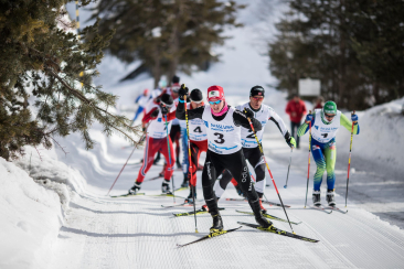 Langlaufrennen auf schmaler Waldloipe; Spitze mit Startnummer 3, dichtes Verfolgerfeld.