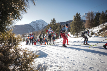 Langlauf-Feld im sonnigen Anstieg; Waldloipe und Berge im Hintergrund.