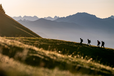 Vier Wandernde gehen bei tiefstehender Sonne über einen grasigen Hang