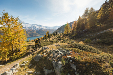 Wunderschöne Herbstlandschaft auf einem Biketrail im Engadin mit einem Biker.
