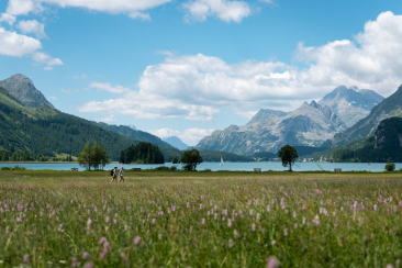 Zwei Wandernde gehen durch eine blühende Wiese am Engadiner Seeufer. Auf dem Wasser segelt ein Boot; dahinter erheben sich bewaldete und felsige Berge.