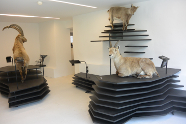 Capricorn Ausstellung im Naturpark Beverin