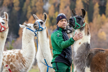 Isidor Sepp mit seinen Lamas (© Nicola Pitaro)
