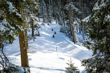 Schlitteln im Skigebiet Arosa Lenzerheide